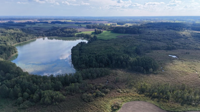 Działka Sprzedaż Mokiny