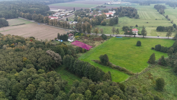 Działka Sprzedaż Malinowo 1