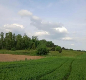 Działka Sprzedaż Sławka Wielka