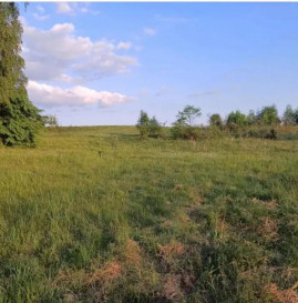 Działka Sprzedaż Sławka Wielka