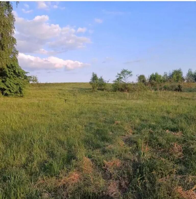 Działka Sprzedaż Sławka Wielka