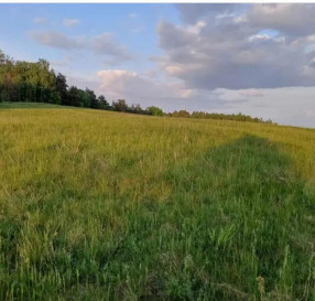 Działka Sprzedaż Sławka Wielka