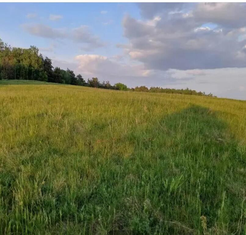 Działka Sprzedaż Sławka Wielka