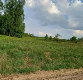 Działka Sprzedaż Sławka Wielka