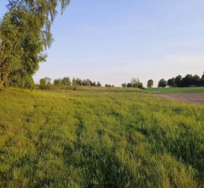 Działka Sprzedaż Sławka Wielka