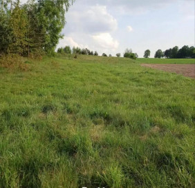 Działka Sprzedaż Sławka Wielka