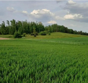 Działka Sprzedaż Sławka Wielka