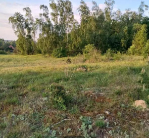 Działka Sprzedaż Sławka Wielka
